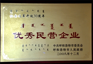 優秀民營企業