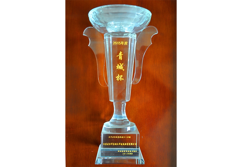 2015年度青城杯