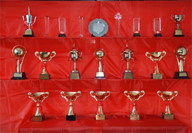 榮譽(yù)獎(jiǎng)杯